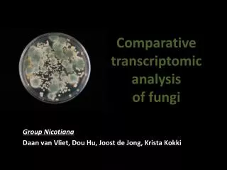 Comparative transcriptomic analysis of fungi
