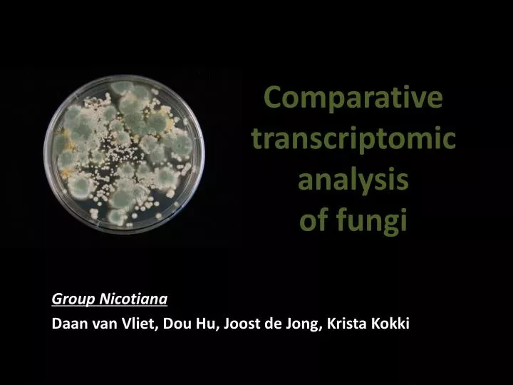 comparative transcriptomic analysis of fungi