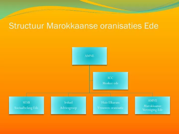 structuur marokkaanse oranisaties ede