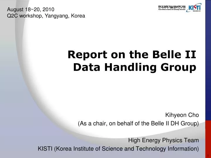 report on the belle ii data handling group