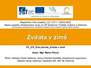 zv ata v zim