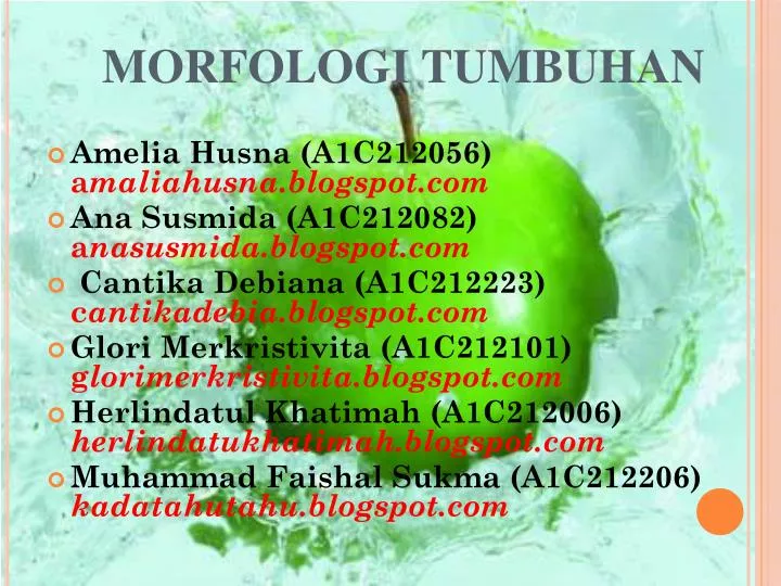 morfologi tumbuhan