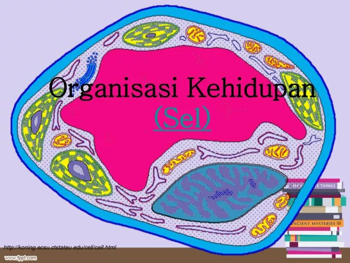 organisasi kehidupan sel