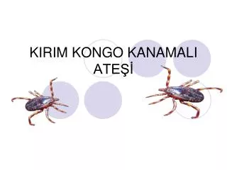 kirim kongo kanamali ate