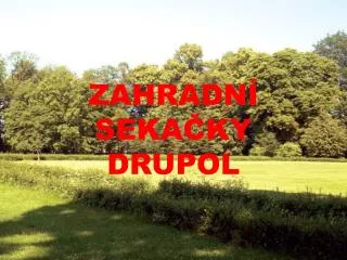 zahradn seka ky drupol
