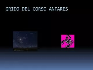 grido del corso antares