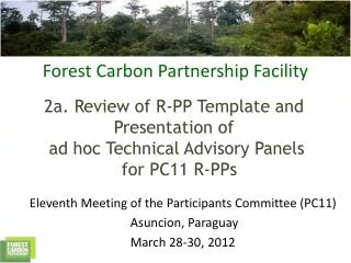 Eleventh Meeting of the Participants Committee (PC11) Asuncion, Paraguay March 28-30, 2012