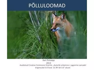 p lluloomad