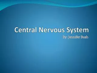 Central Nervous System