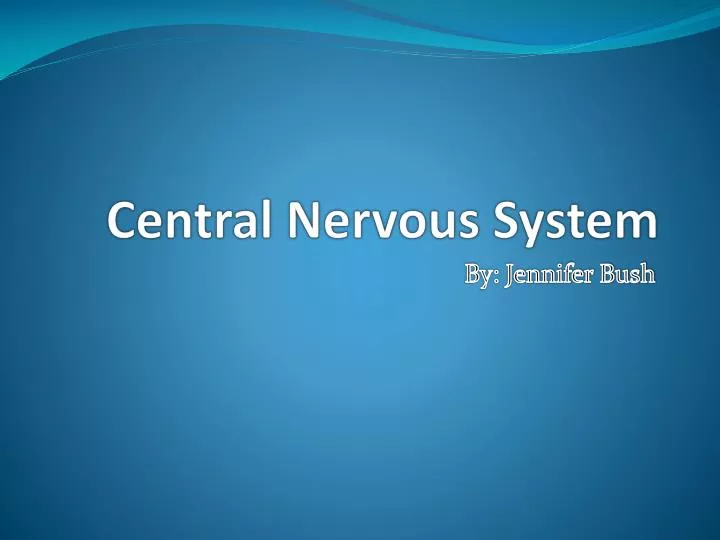 central nervous system