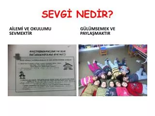 sevg ned r