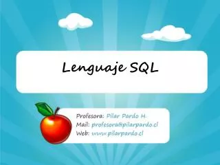 lenguaje sql