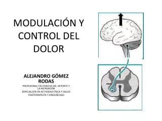 modulaci n y control del dolor