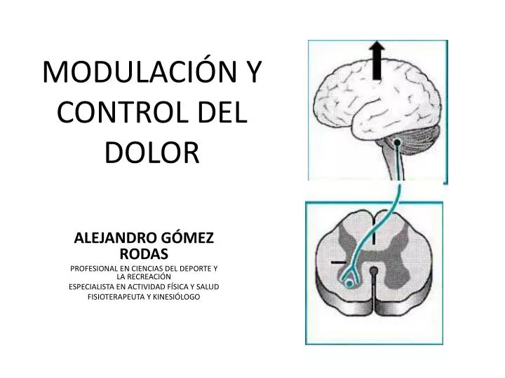 modulaci n y control del dolor