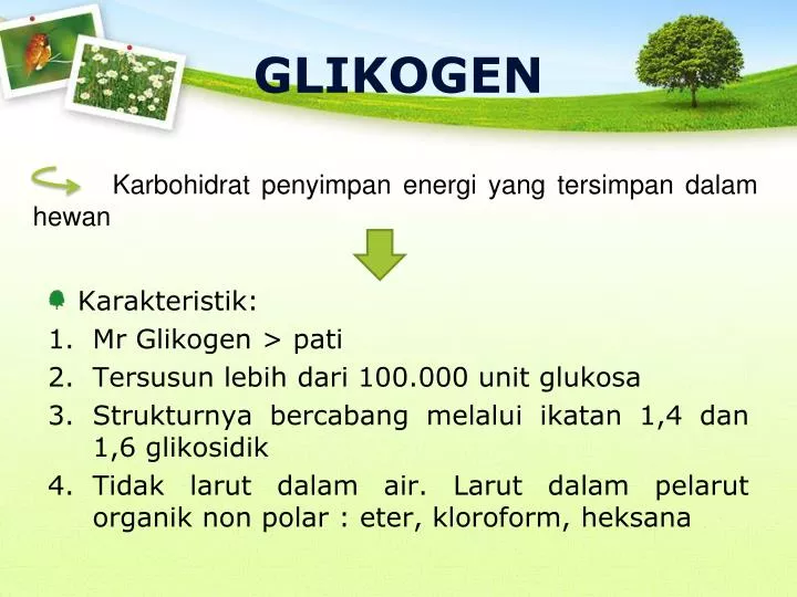 glikogen