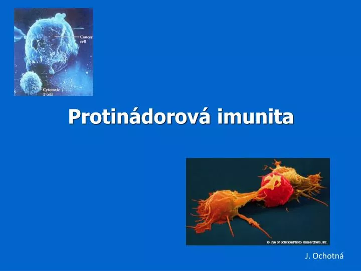 protin dorov imunita