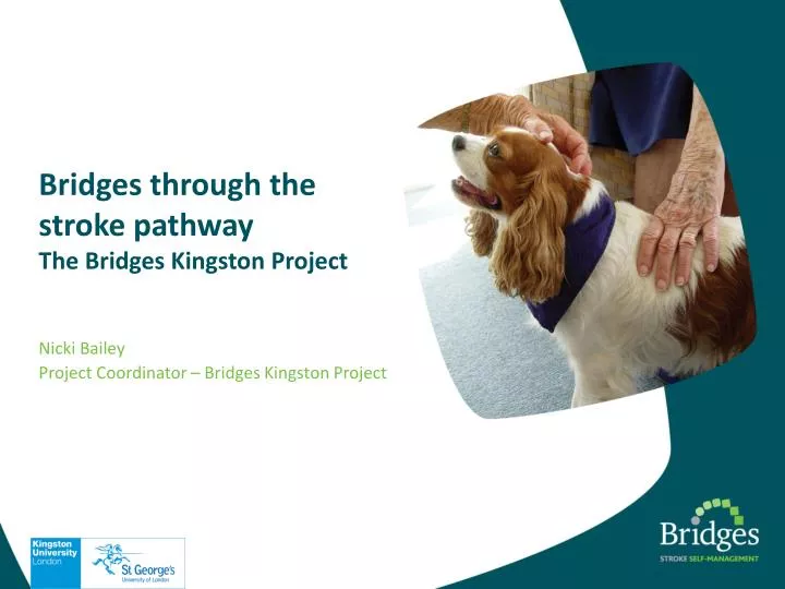 bridges through the stroke pathway the bridges kingston project