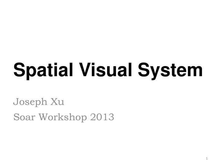 spatial visual system