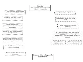 Exercise Leads to decreased oxygen and increased CO2 in the working muscles