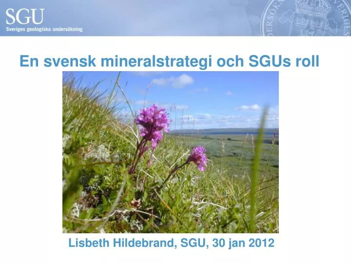en svensk mineralstrategi och sgus roll