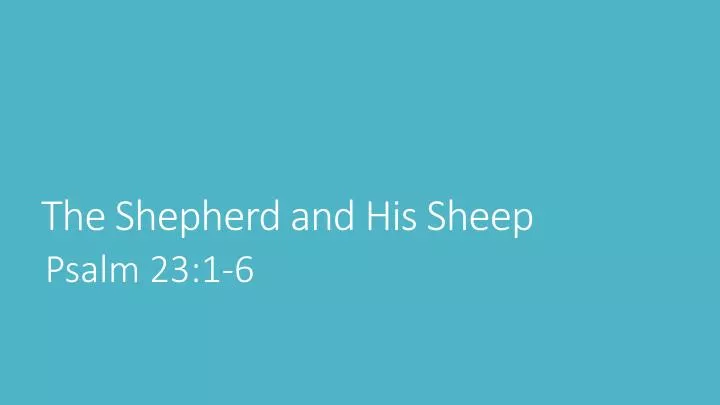 the shepherd and his sheep