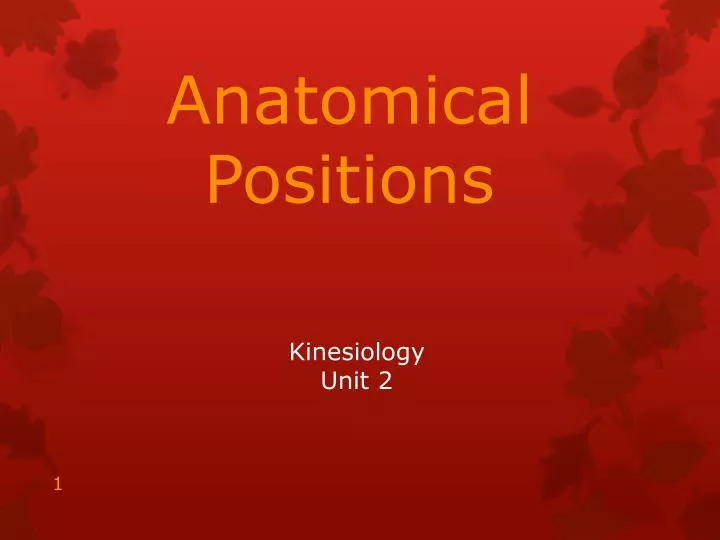 kinesiology unit 2