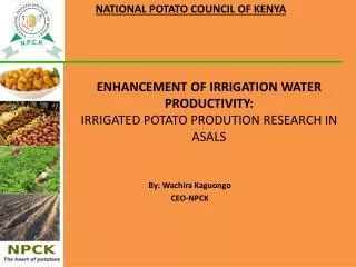 ENHANCEMENT OF IRRIGATION WATER PRODUCTIVITY: IRRIGATED POTATO PRODUTION RESEARCH IN ASALS