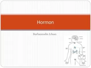 hormon