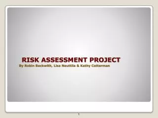 RISK ASSESSMENT PROJECT By Robin Beckwith, Lisa Neuttila &amp; Kathy Cotterman