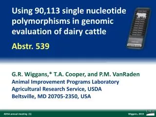 Using 90,113 single nucleotide polymorphisms in genomic evaluation of dairy cattle