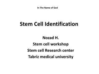 Stem Cell Identification
