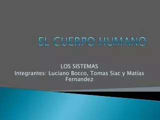 el cuerpo humano