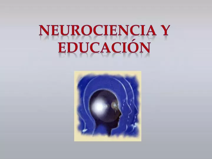 neurociencia y educaci n