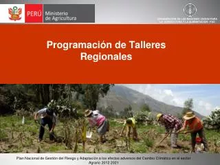 programaci n de talleres regionales