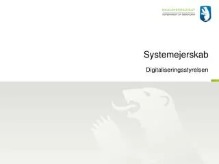 systemejerskab