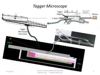 Tagger Microscope