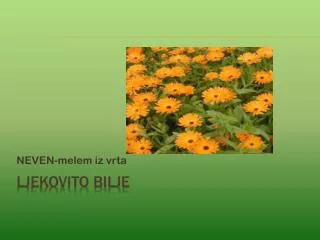 neven melem iz vrta