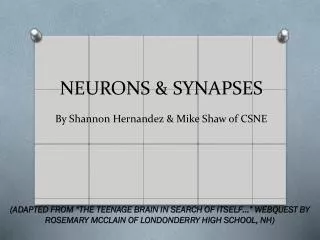 neurons synapses by shannon hernandez mike shaw of csne