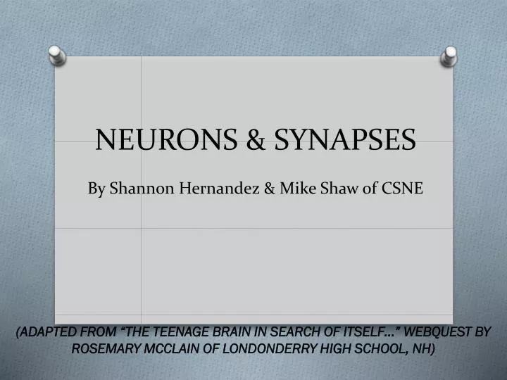 neurons synapses by shannon hernandez mike shaw of csne