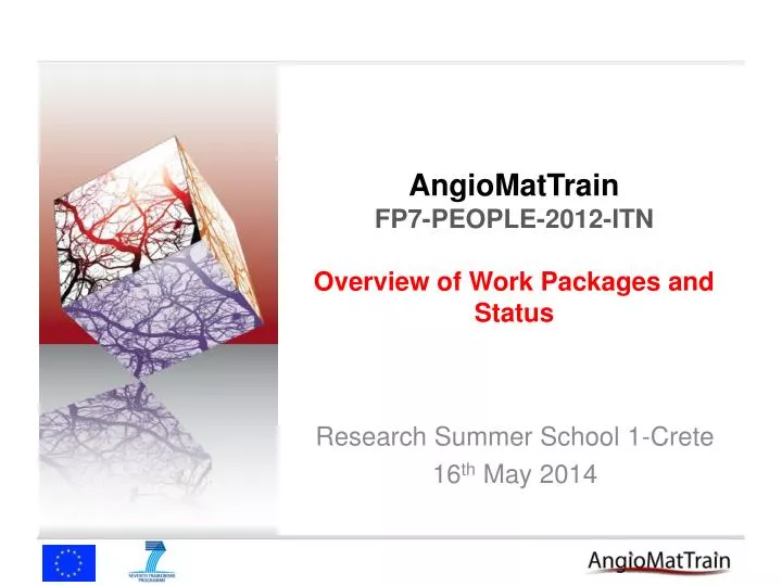 angiomattrain fp7 people 2012 itn overview of work packages and status