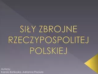 si y zbrojne rzeczypospolitej polskiej