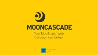 Priit Salumaa Co-founder @Mooncascade Setting up &amp; Delivering Your Project