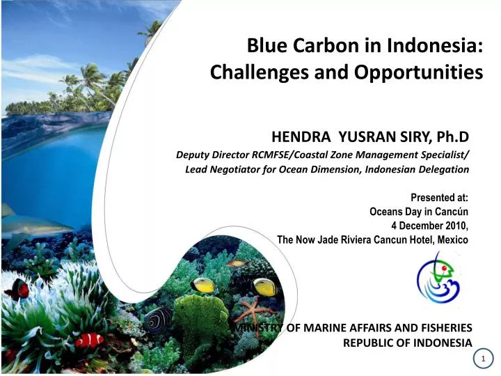 blue carbon in indonesia challenges and opportunities