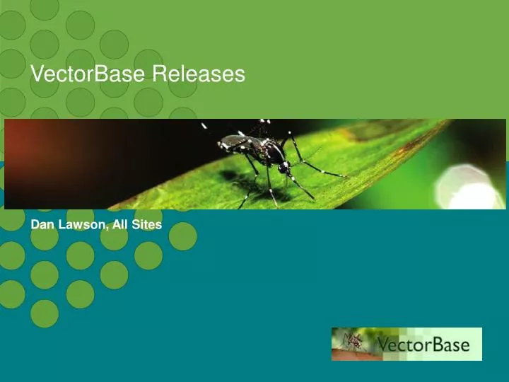 vectorbase releases