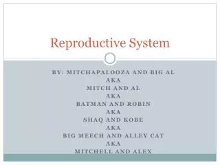 reproductive system