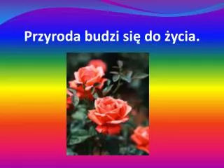 przyroda budzi si do ycia