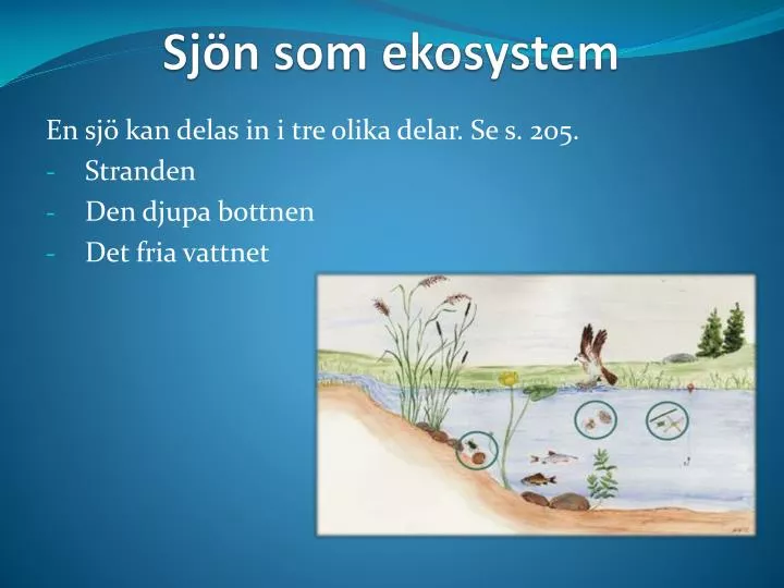 sj n som ekosystem