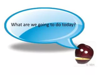What are we going to do today?