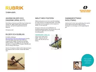 rubrik