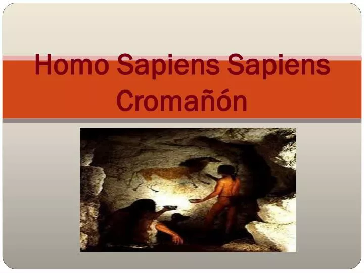 homo sapiens sapiens croma n